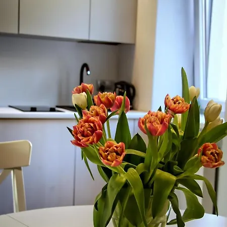 Apartament Kwiatowa6 Szczawnica